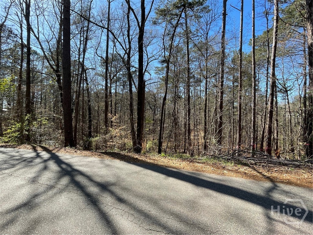 Lot 62 Warbler Lane, Monticello, GA, 31064