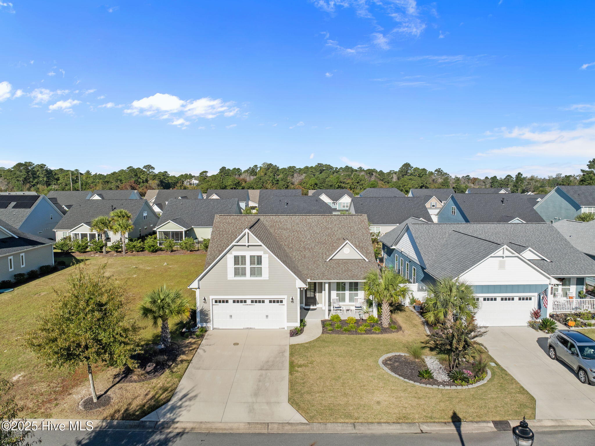 100537659 | Photo 46