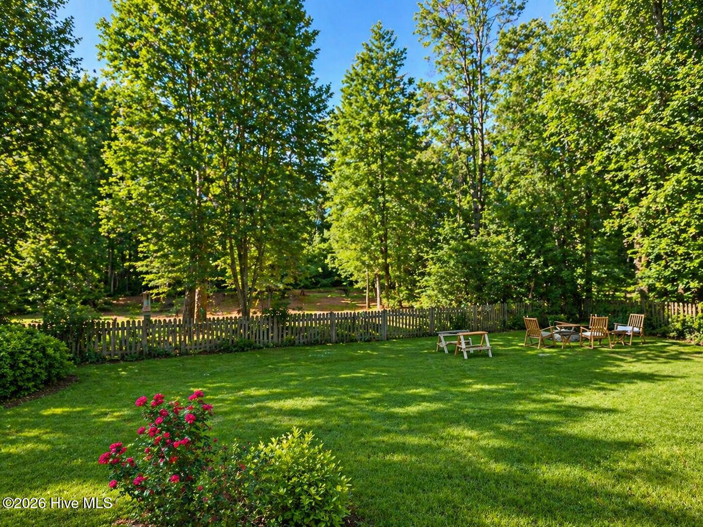 back yard