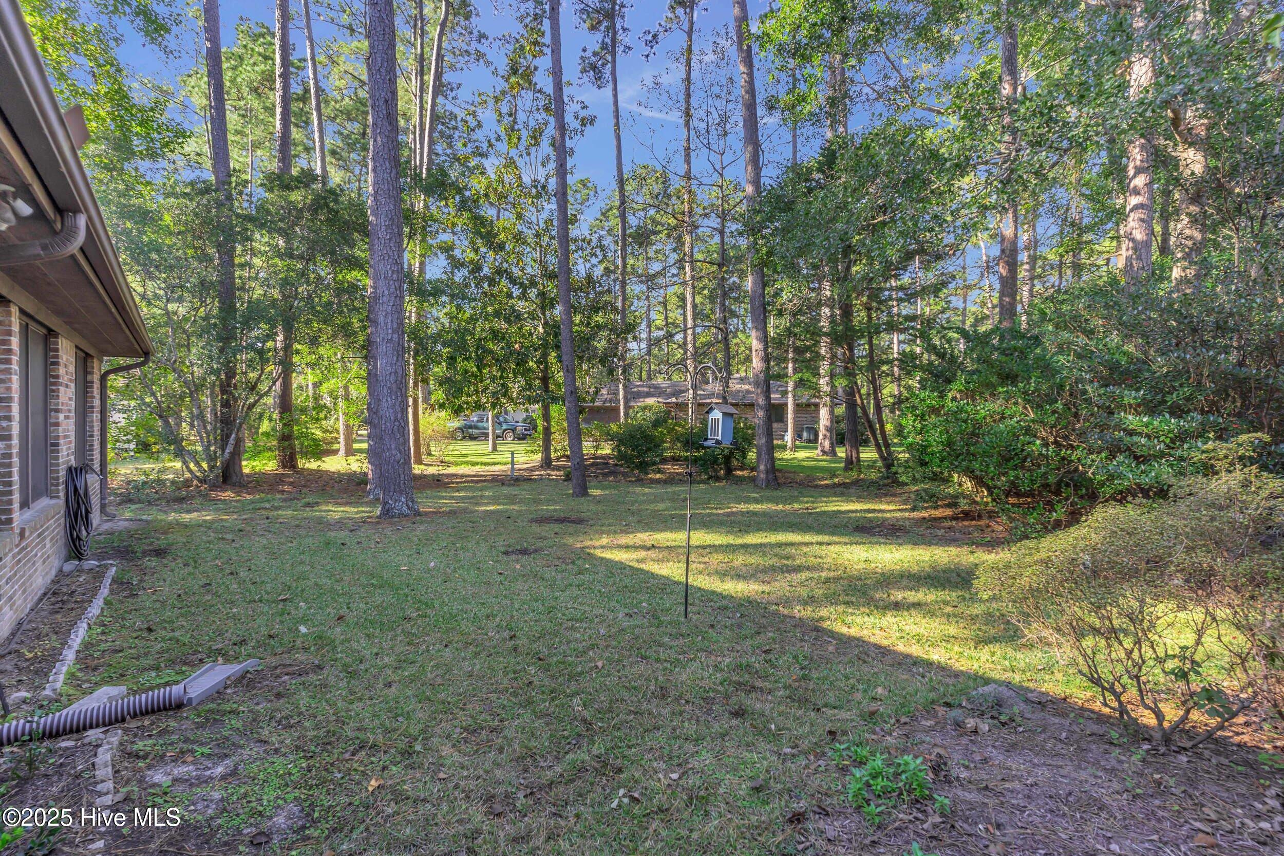 100538060 | Photo 36