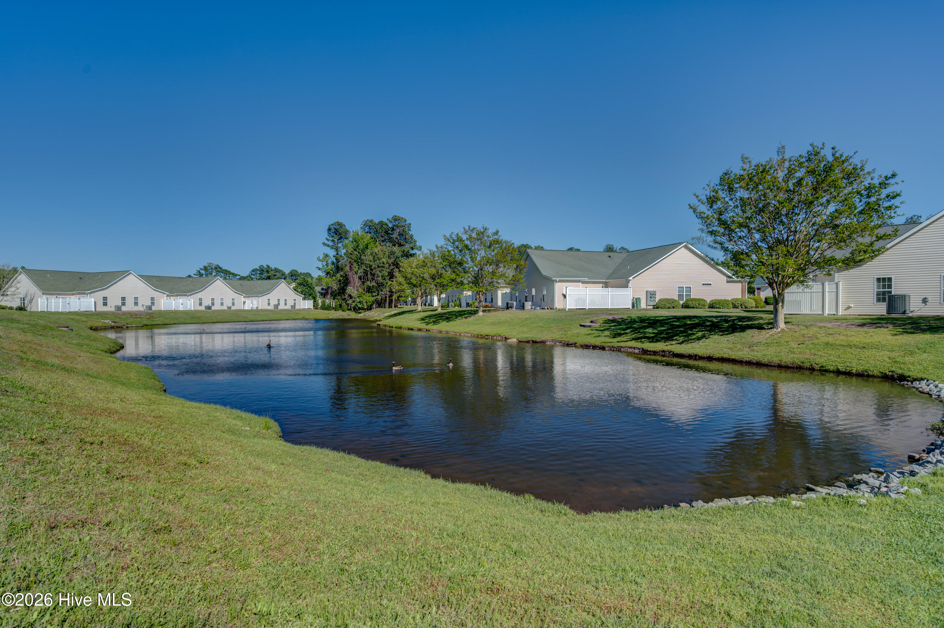 100562348 | Photo 30