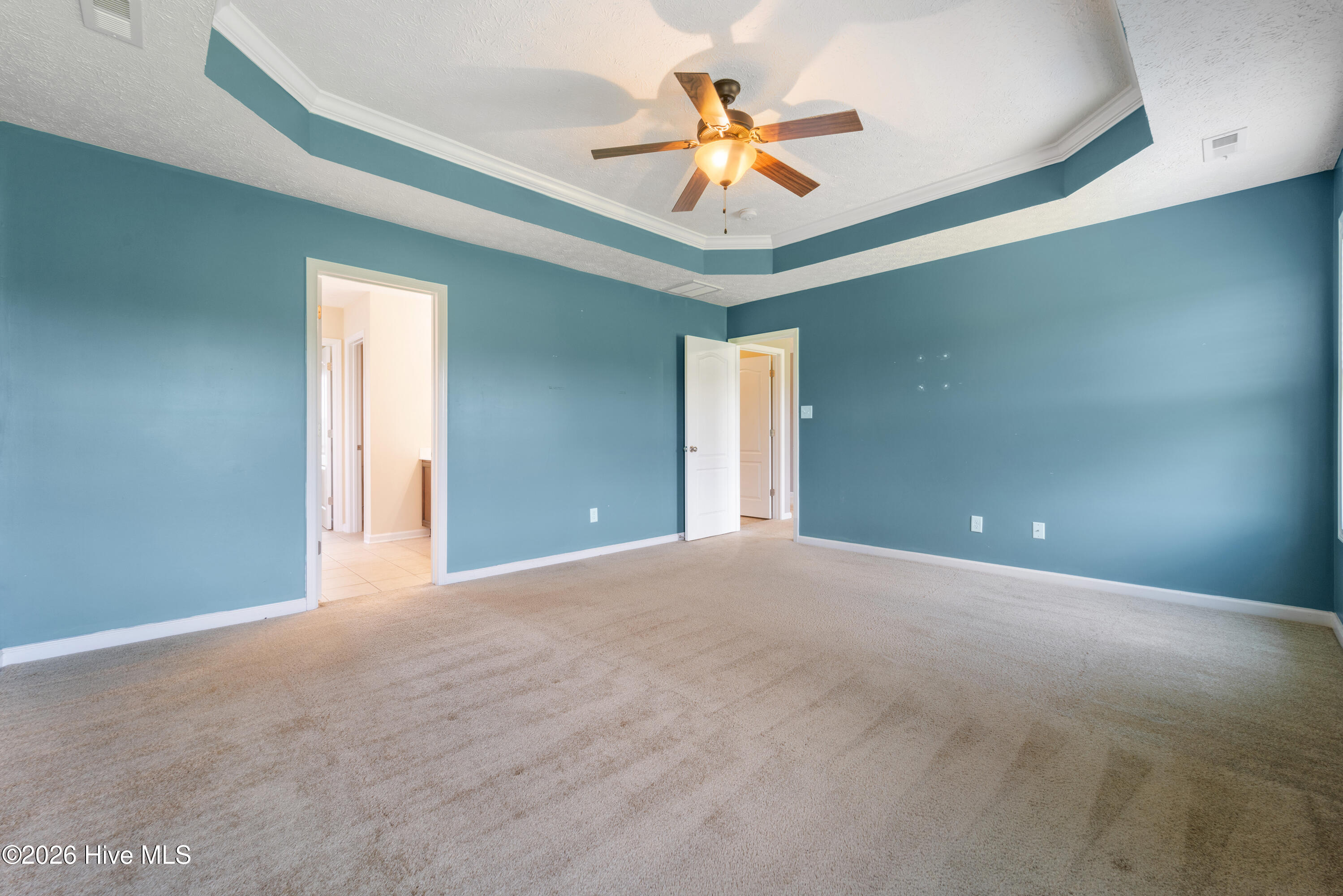 100552593 | Photo 15