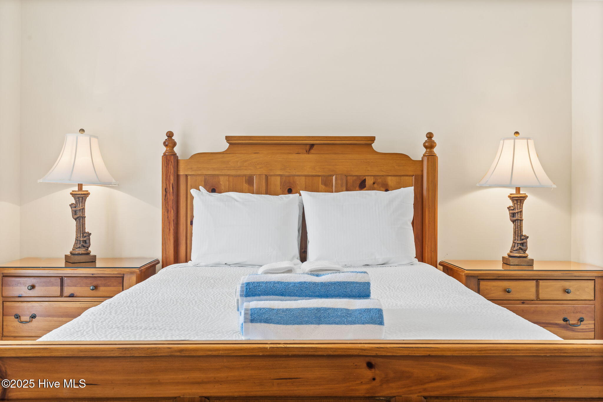 100498196 | Photo 43