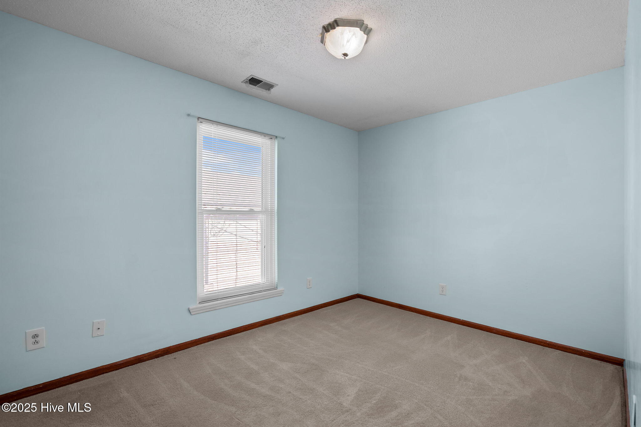 100547004 | Photo 25