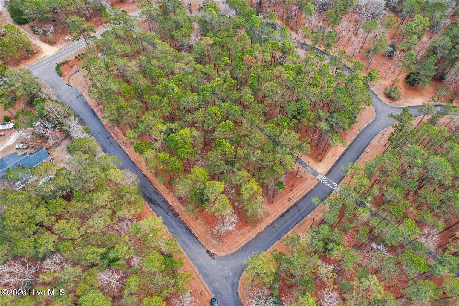 100555112 | Photo 30