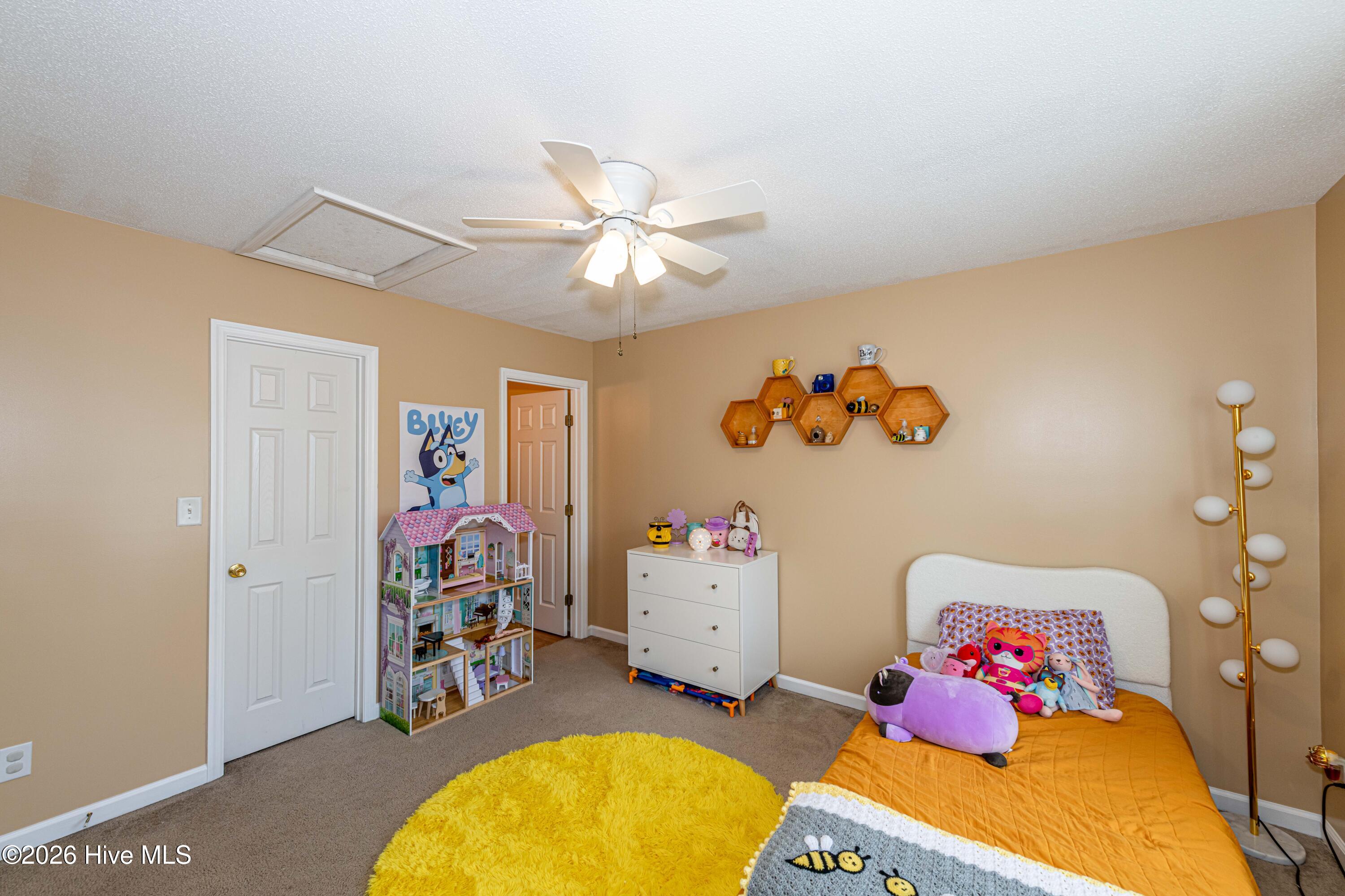 100558731 | Photo 26