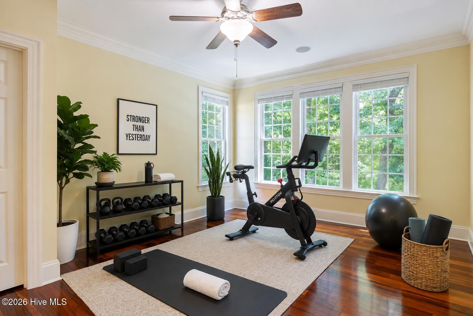Gym Staging 2