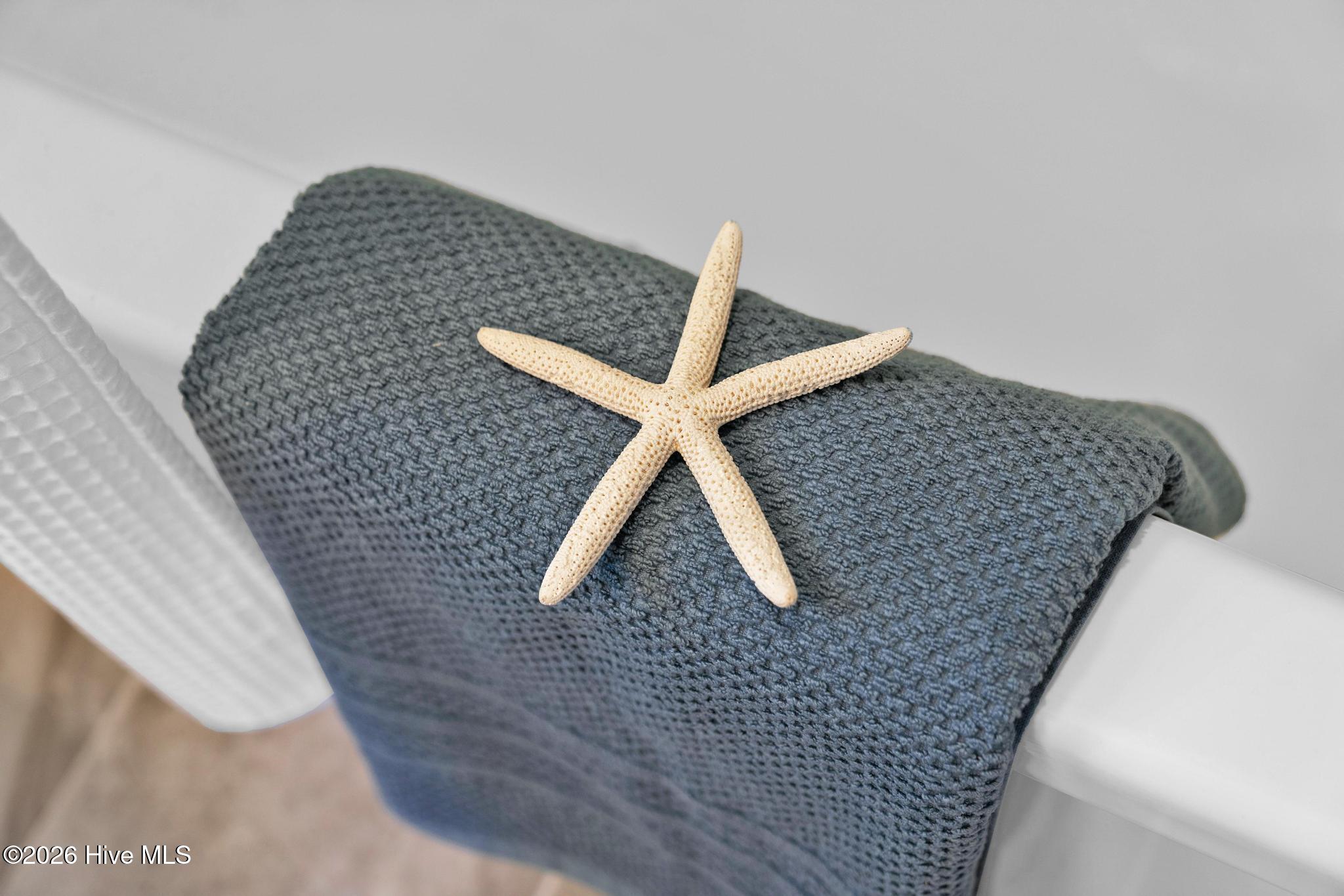 100564627 | Photo 24