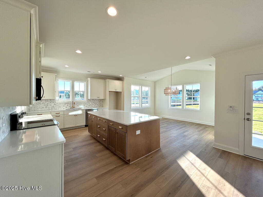 100510089 | Photo 24