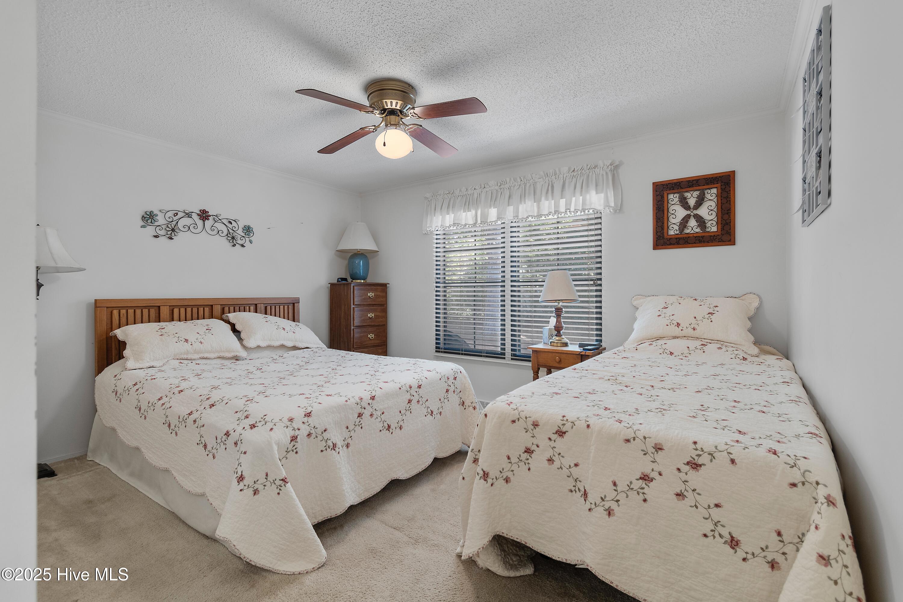 100539730 | Photo 19