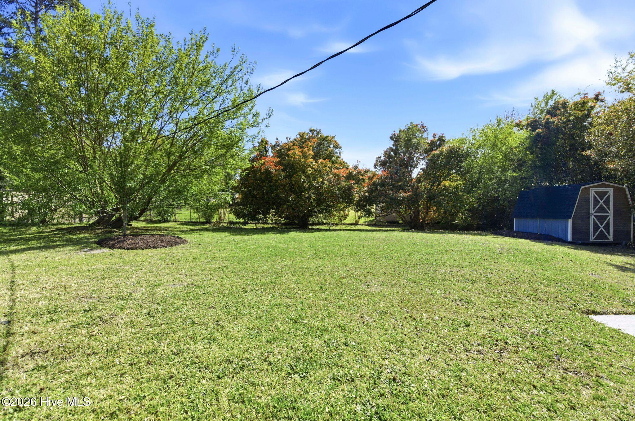 100564209 | Photo 33