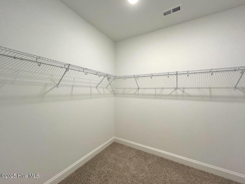 100535078 | Photo 44