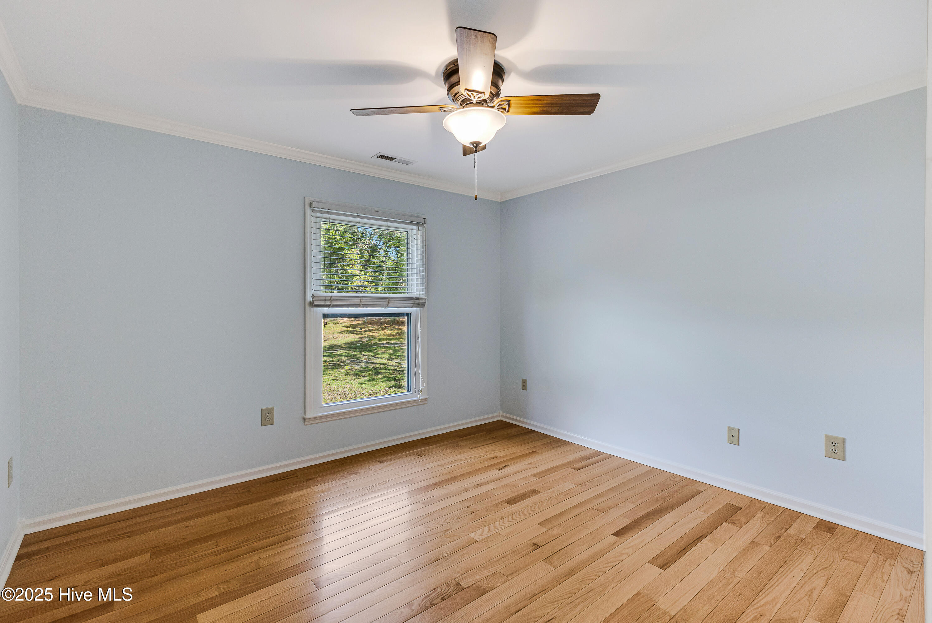 100538127 | Photo 25