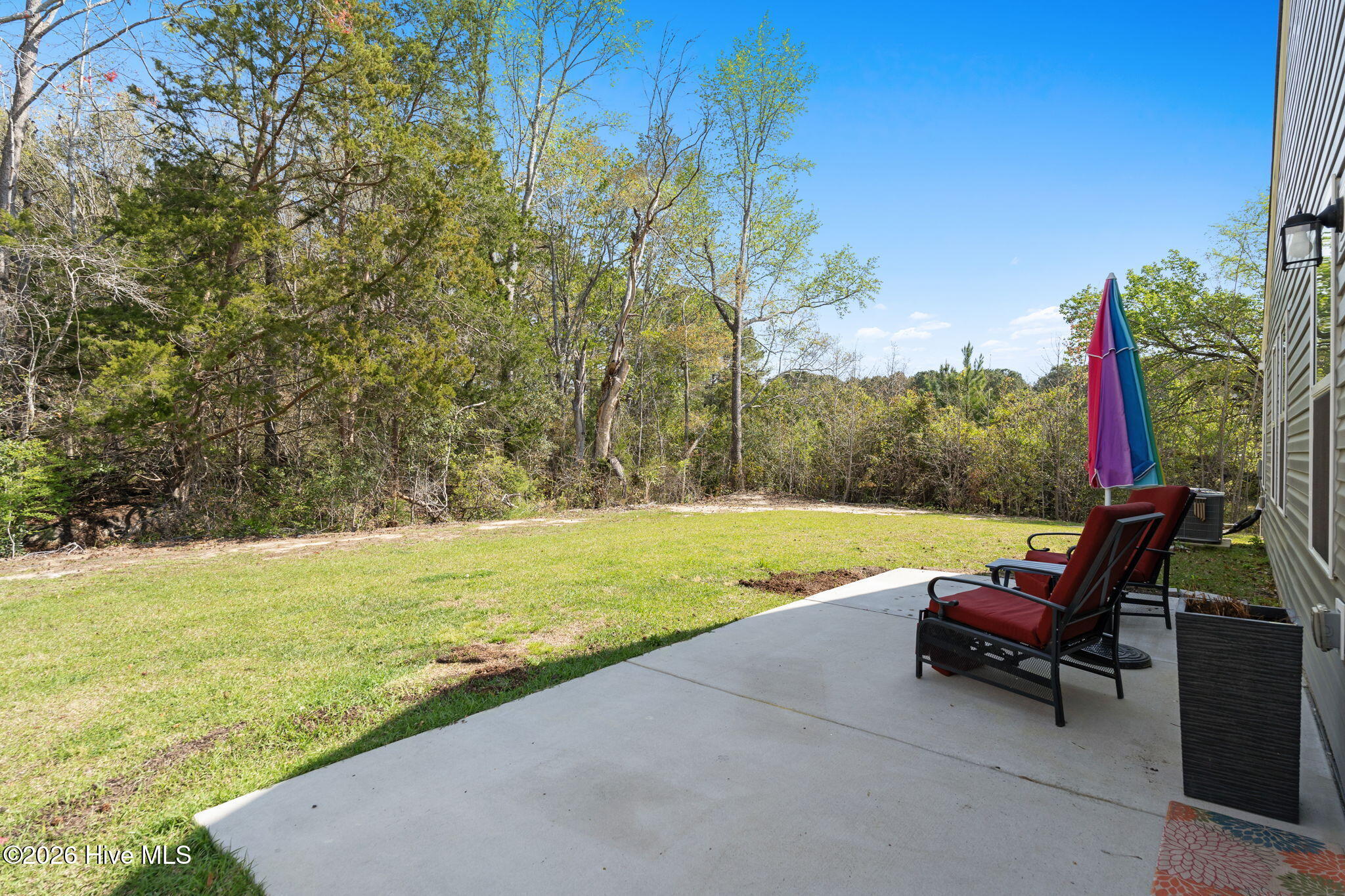 100564304 | Photo 30