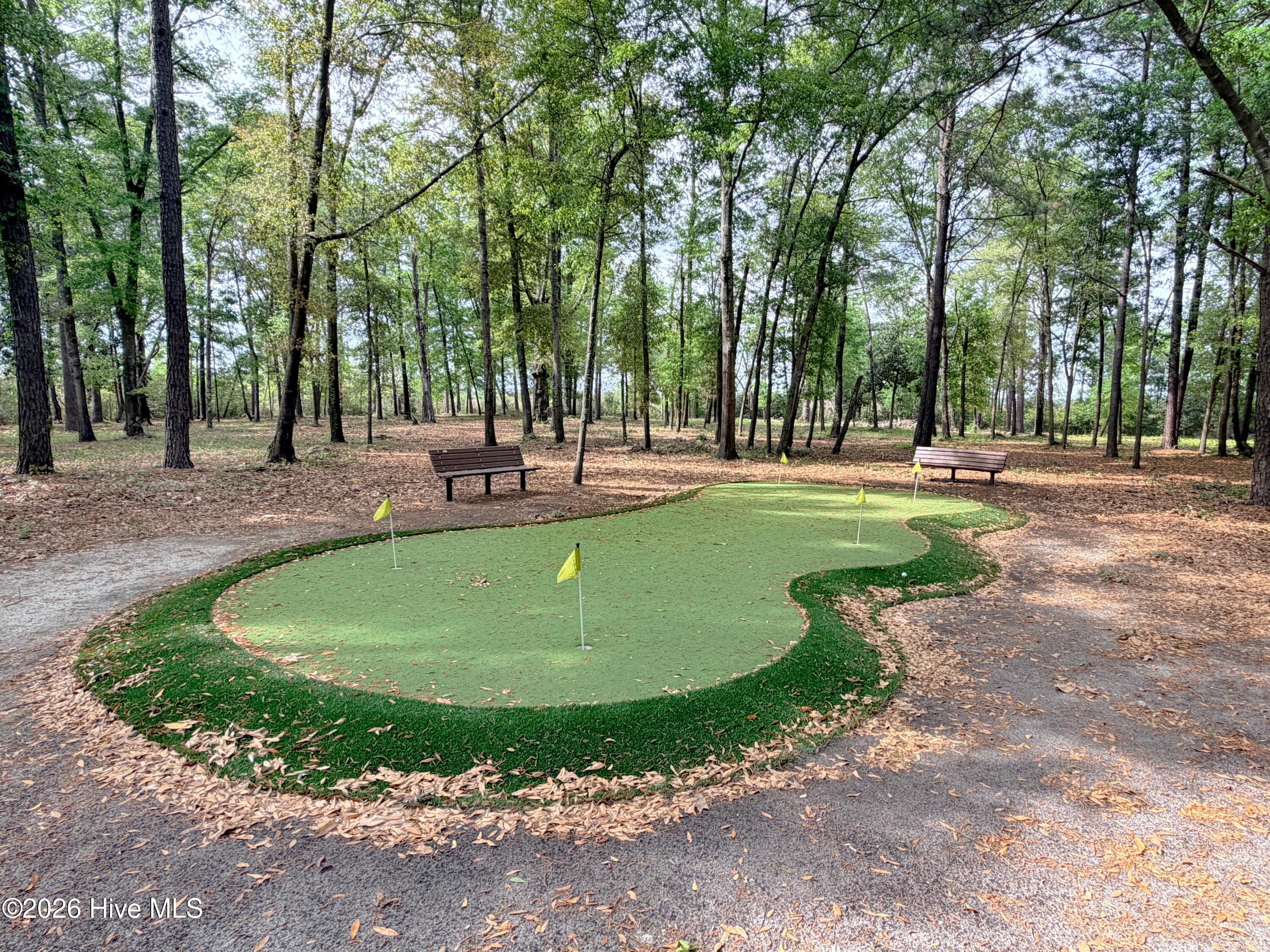 100565656 | Photo 67