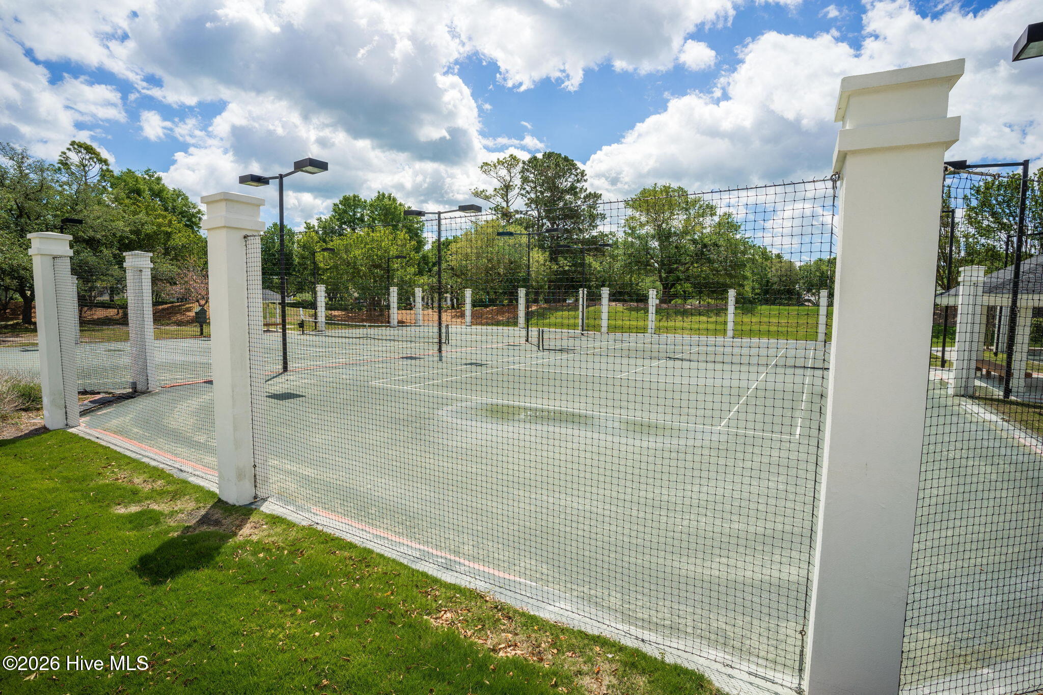 100559704 | Photo 48