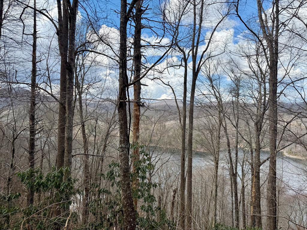 Homes for sale in Nantahala, NC | Lot# 38 Nantahala Shores Rd, Nantahala, NC 28781 | MLS# 98500049