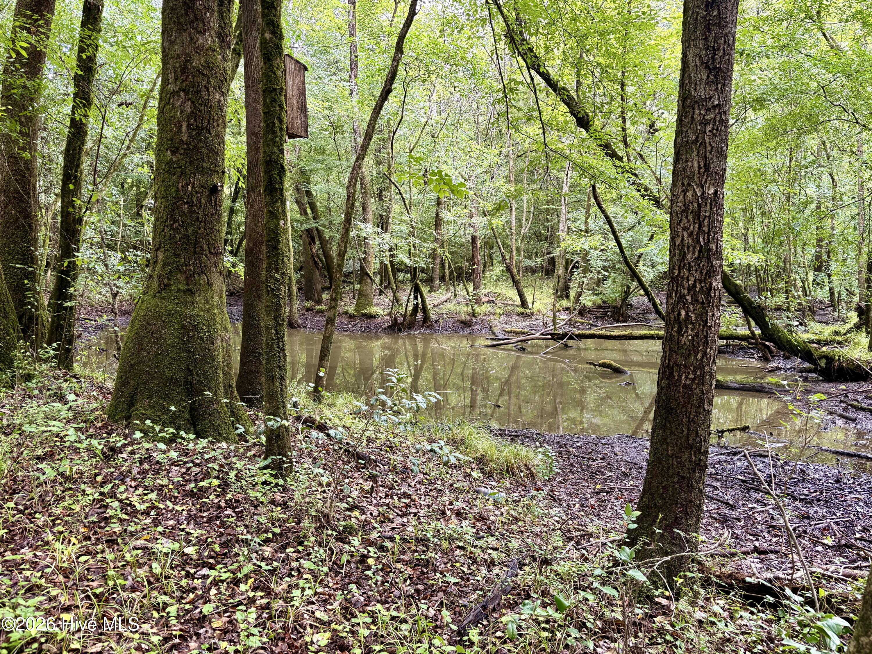 100589008 | Photo 3
