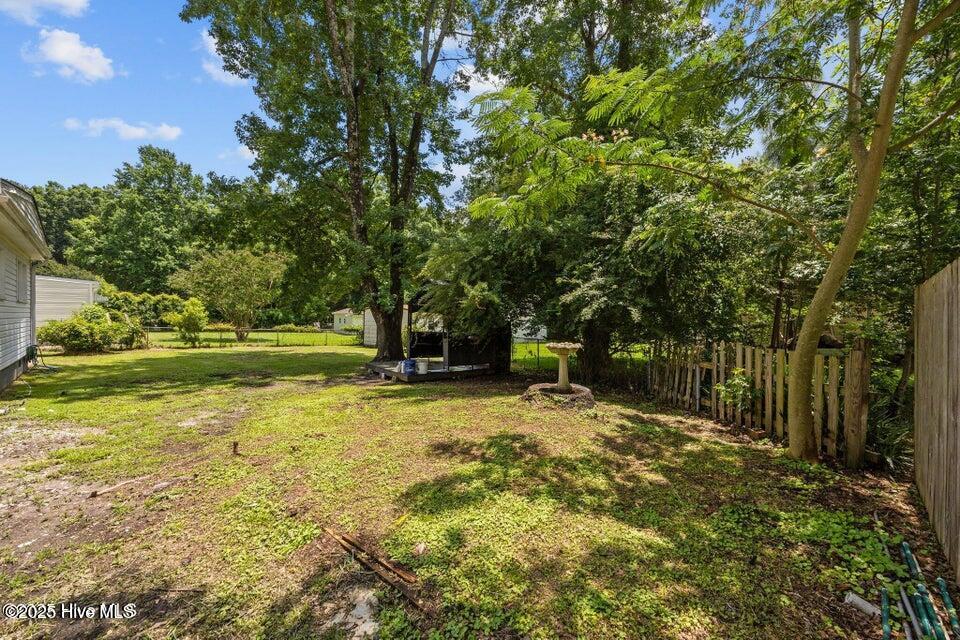 100544982 | Photo 23