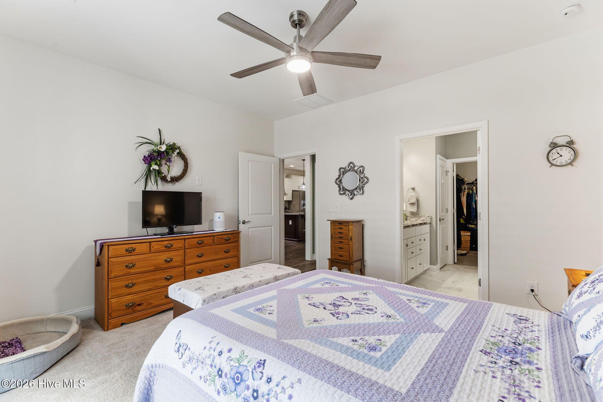 100565858 | Photo 28