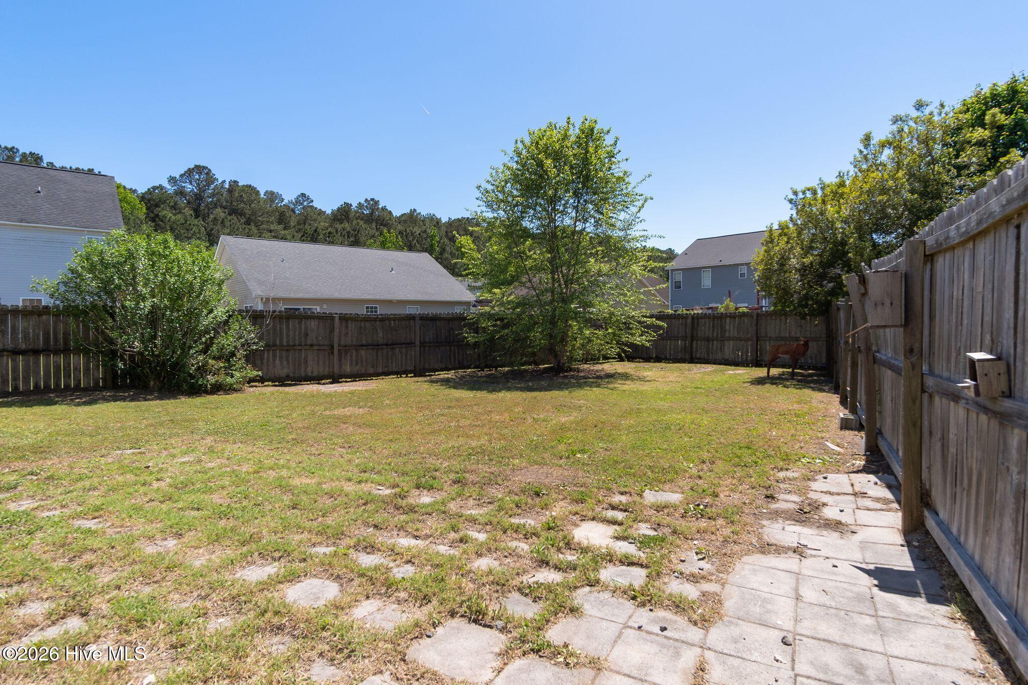 100569961 | Photo 42