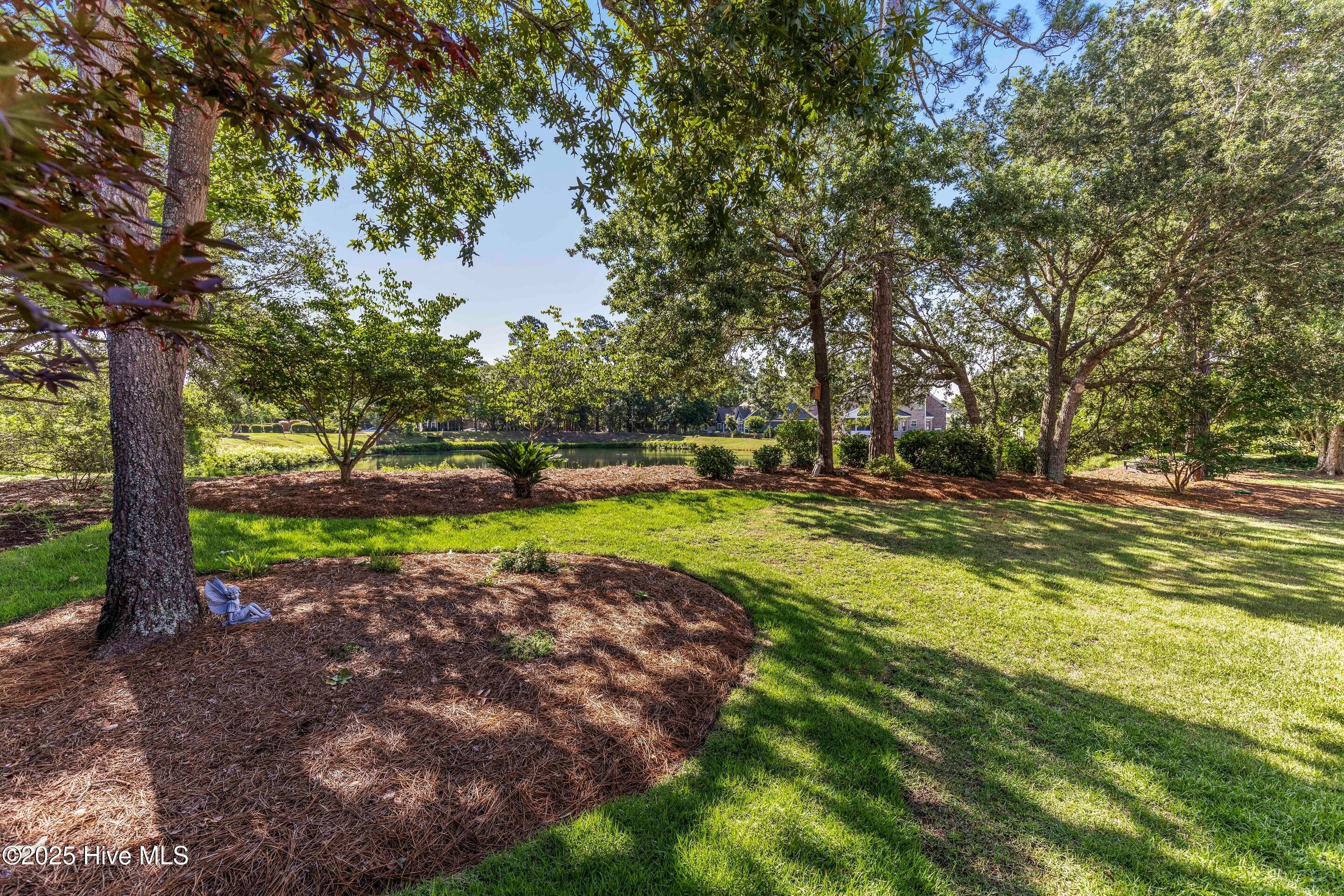 100514713 | Photo 57