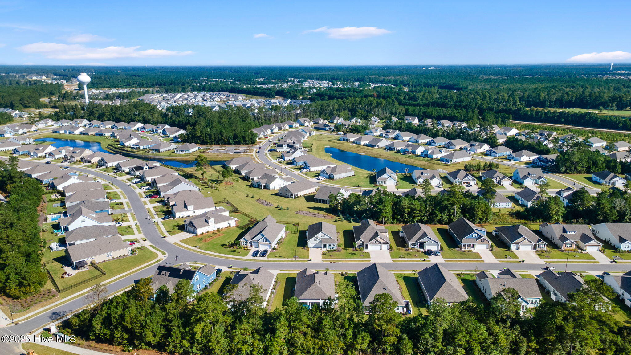 100534721 | Photo 34