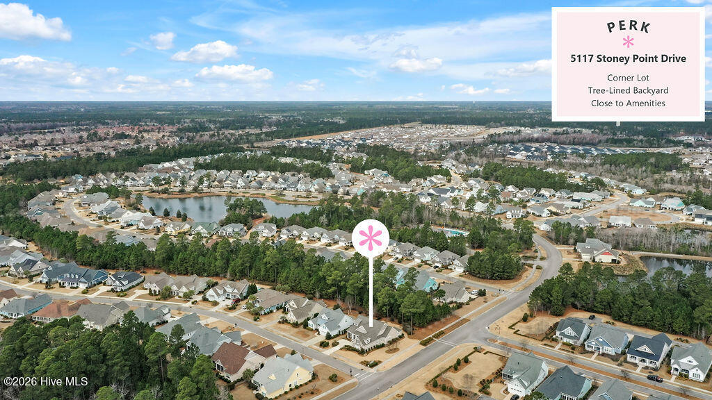 100558721 | Photo 51