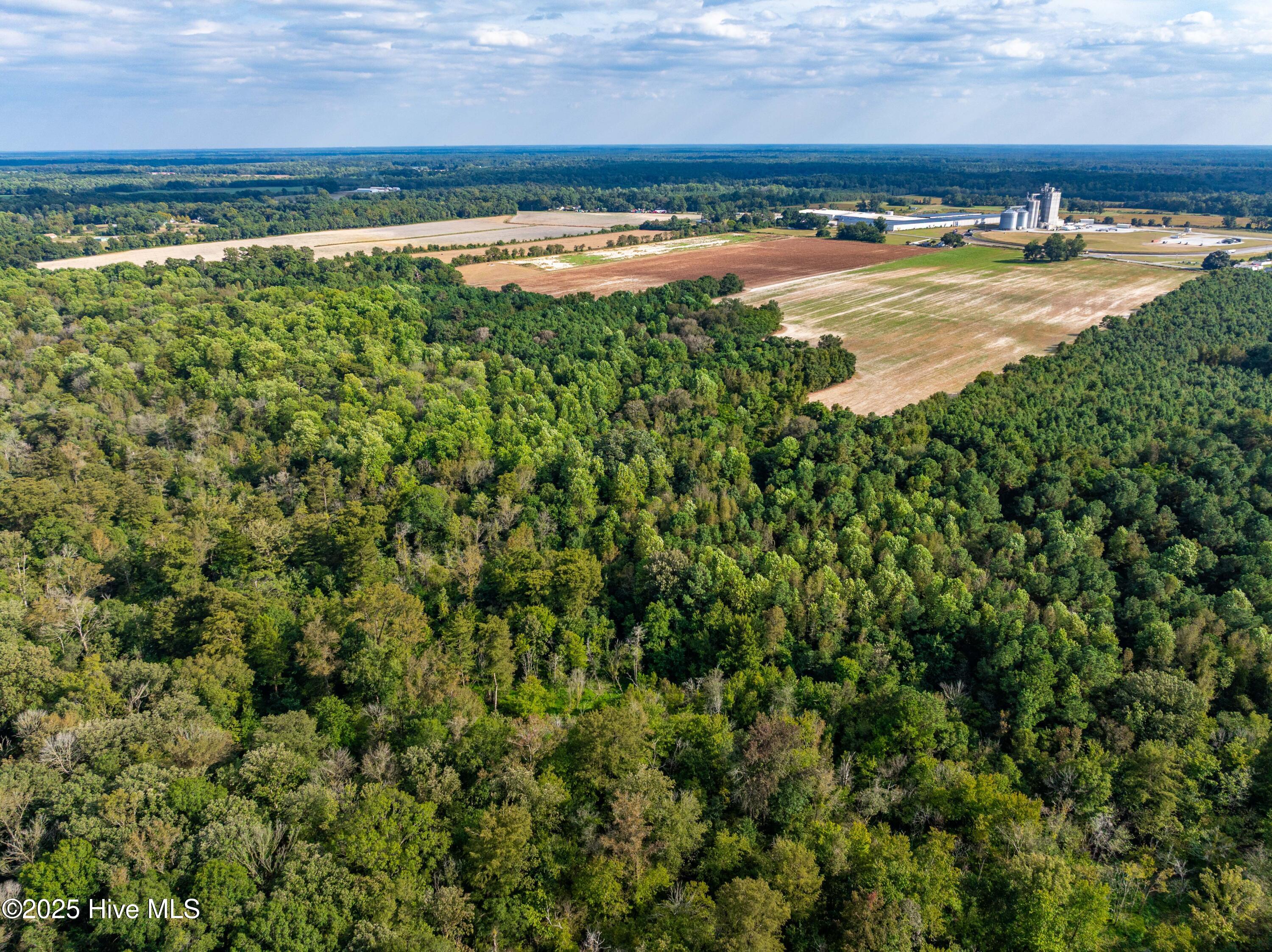 Homes for sale in Turkey, NC | 0 Turkey Hwy, Turkey, NC 28393 | MLS# 100528113