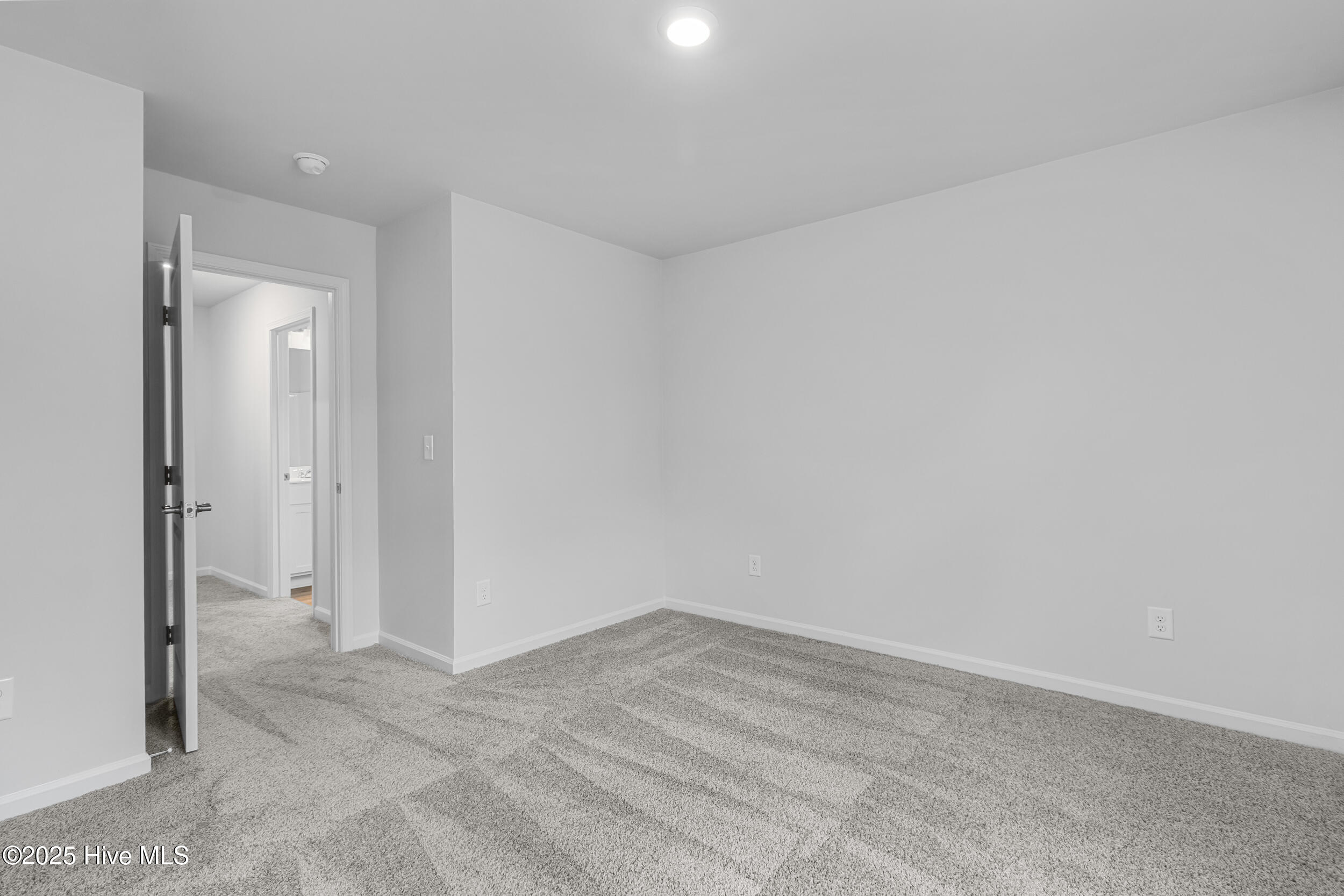 100538946 | Photo 38