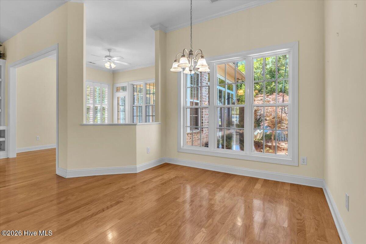 100569829 | Photo 29