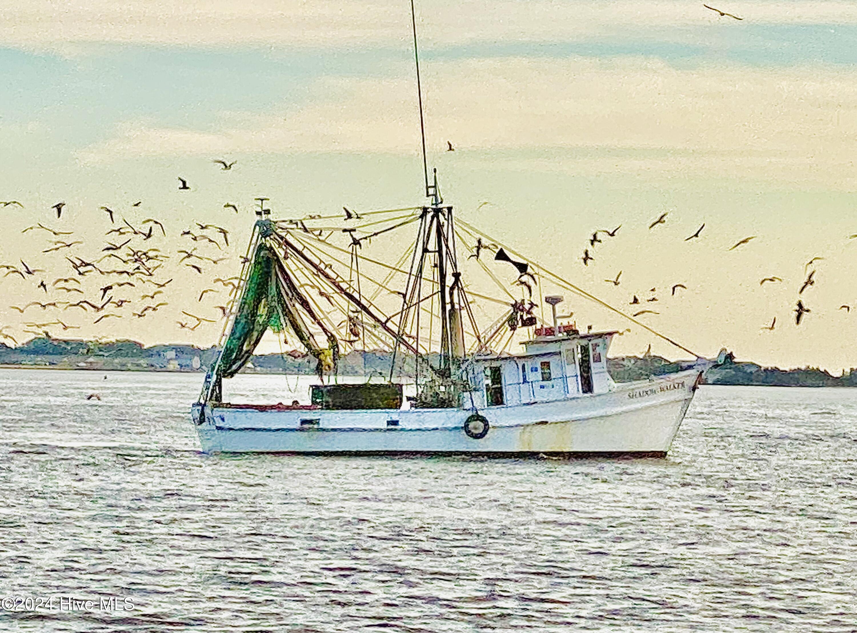 100545085 | Photo 56