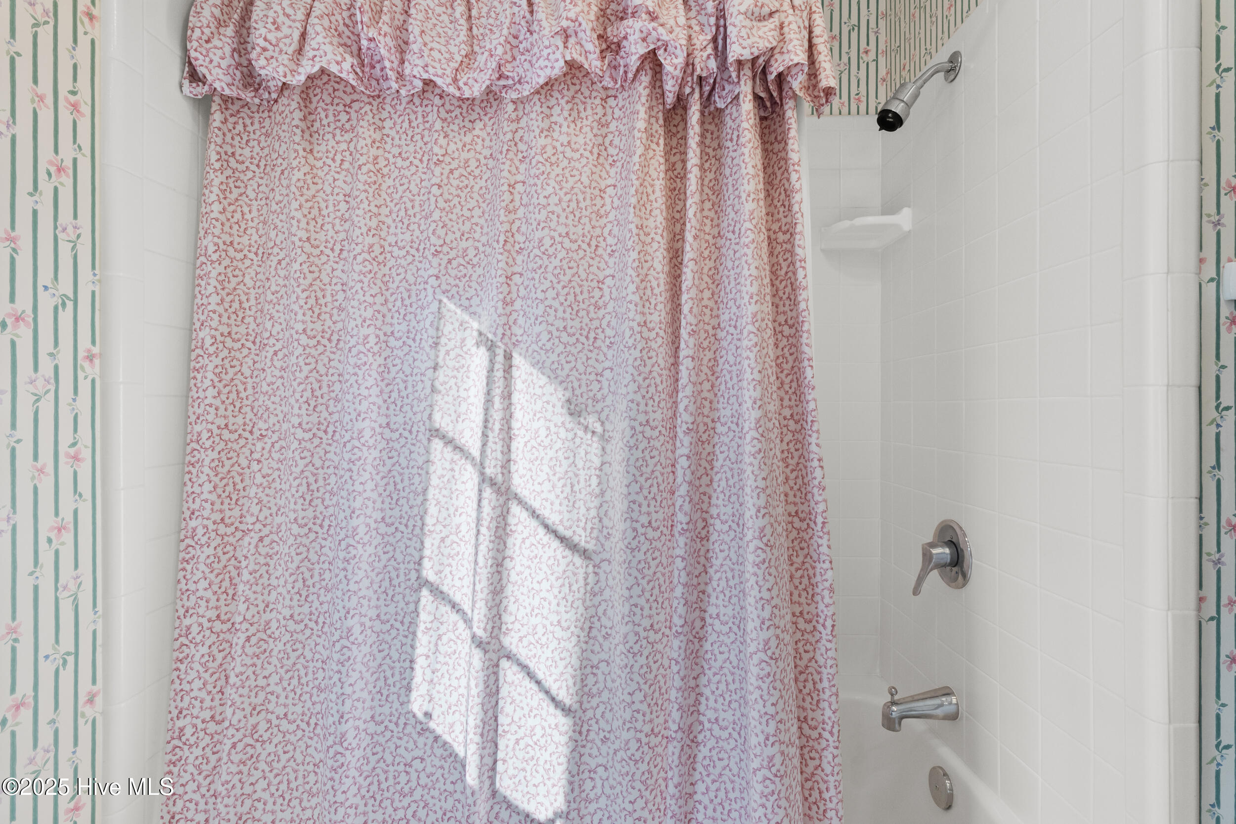 100516126 | Photo 47