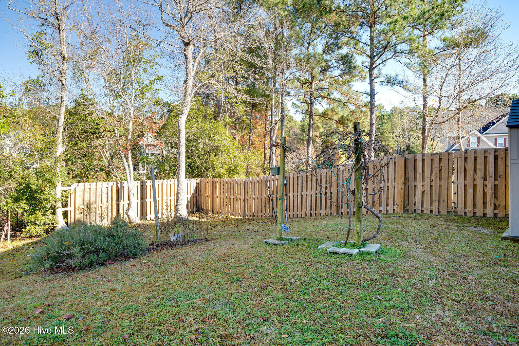 100547626 | Photo 35