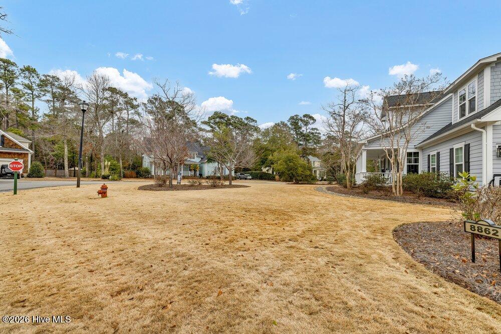 100555857 | Photo 76