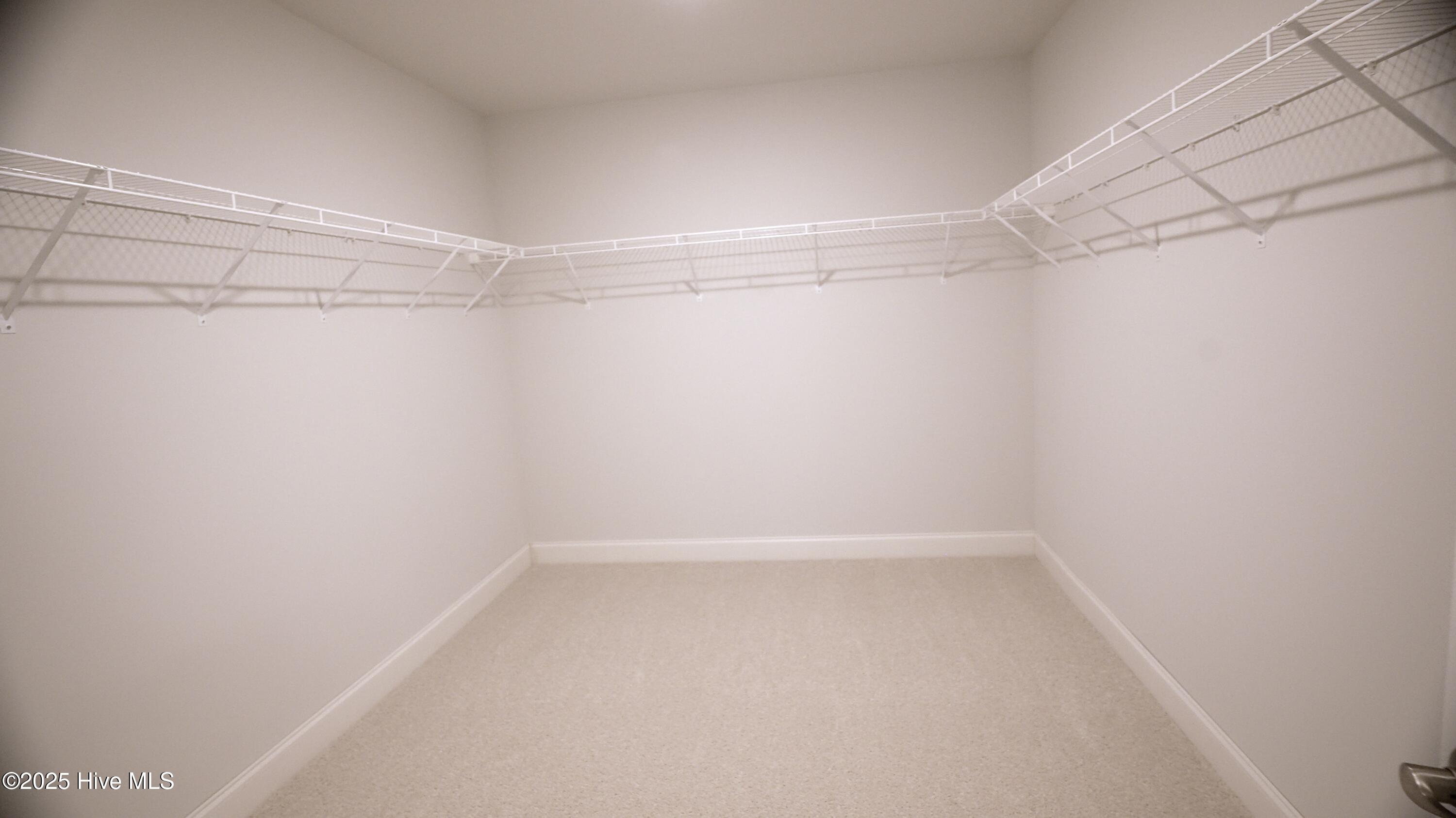 100428126 | Photo 27