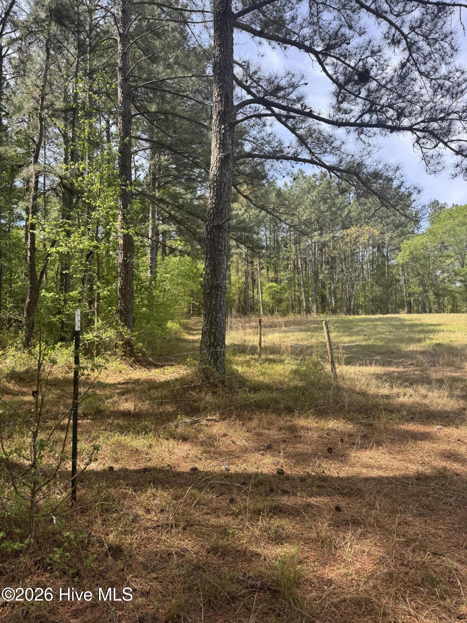 490 Springhill Church Road, Hamlet, NC, 28345