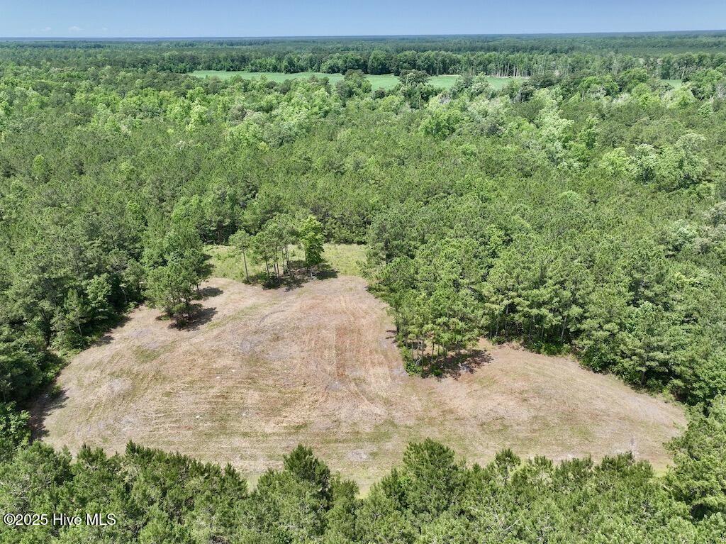 Homes for sale in Grantsboro, NC | 00 Nc-306, Grantsboro, NC 28529 | MLS# 100512858