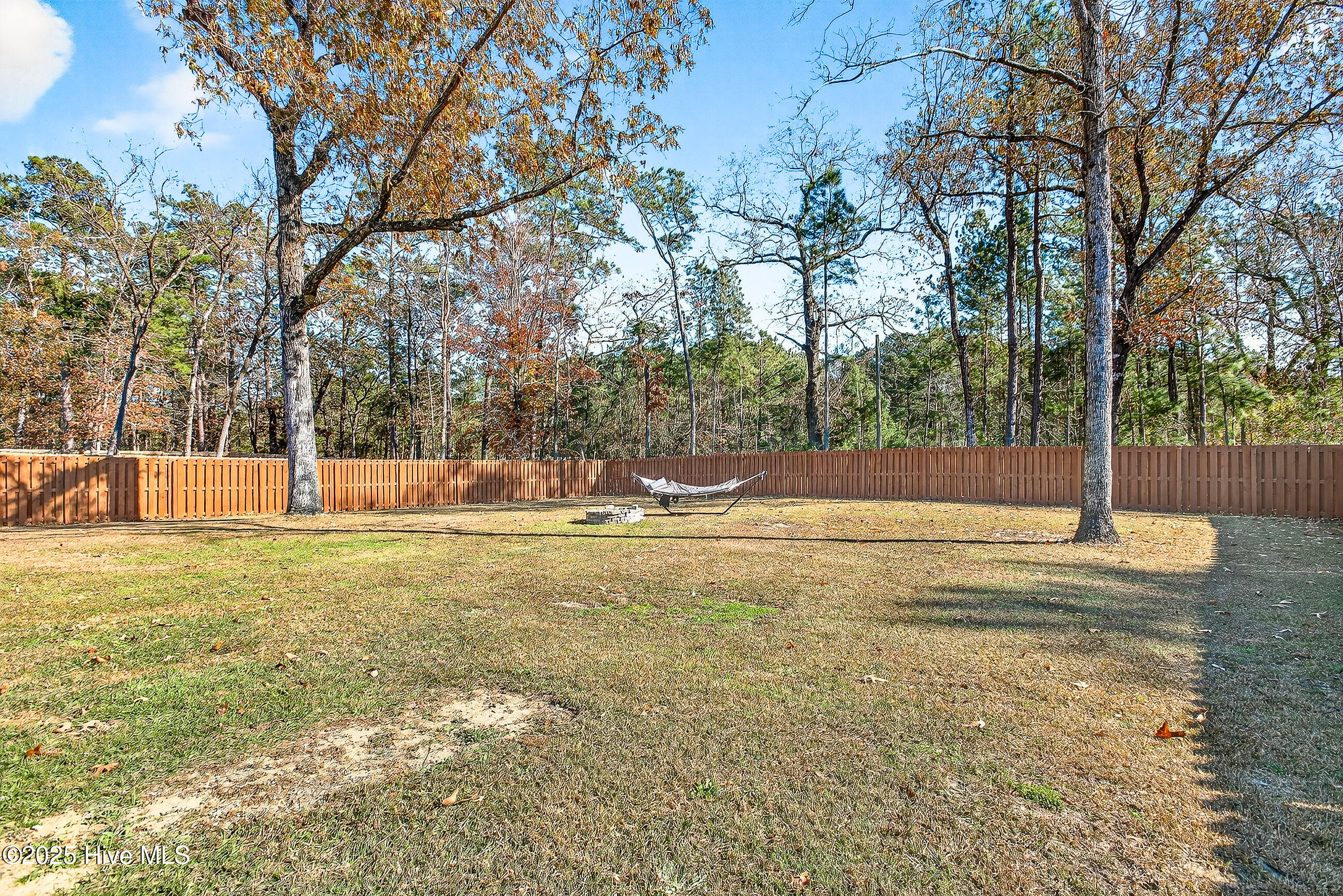 100543581 | Photo 30