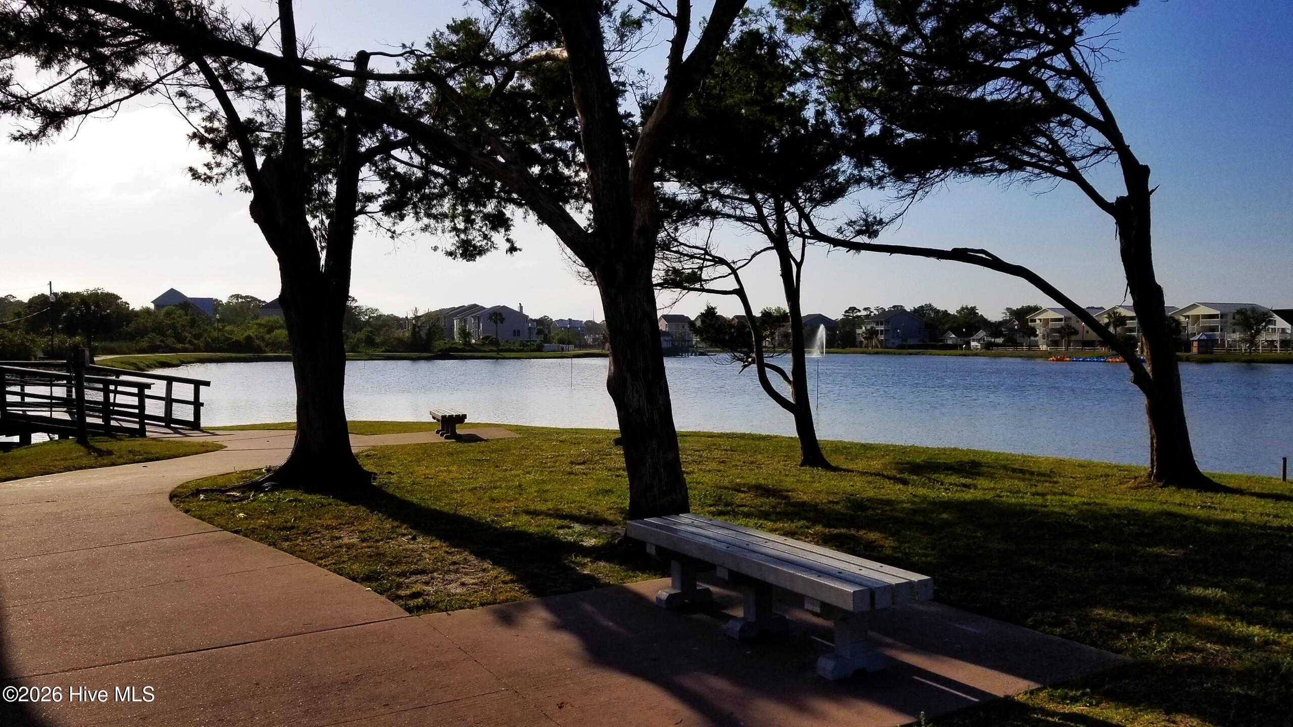 100559910 | Photo 57