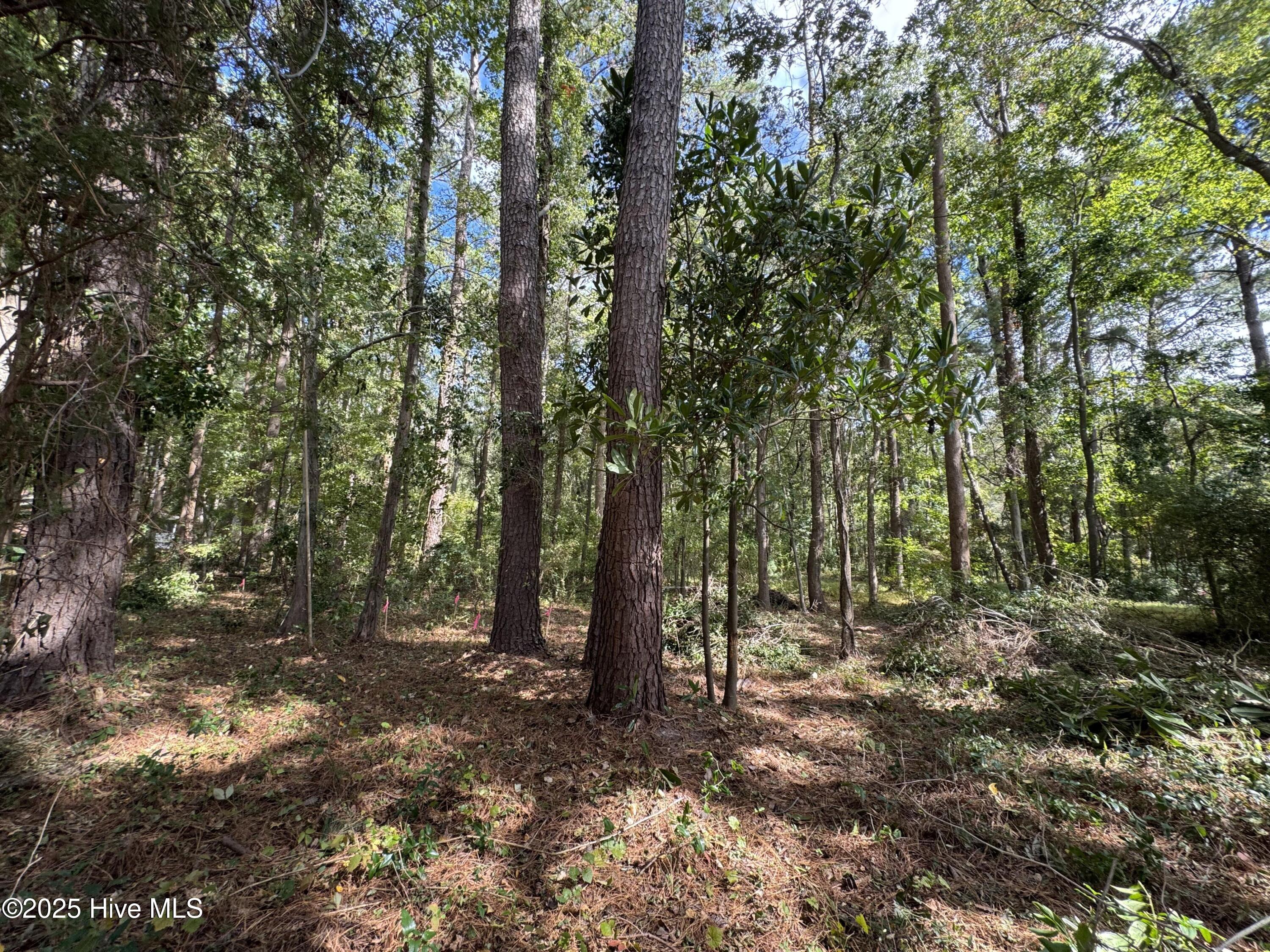 Homes for sale in Bath, NC | 257 Clark Rd, Bath, NC 27808 | MLS# 100544162