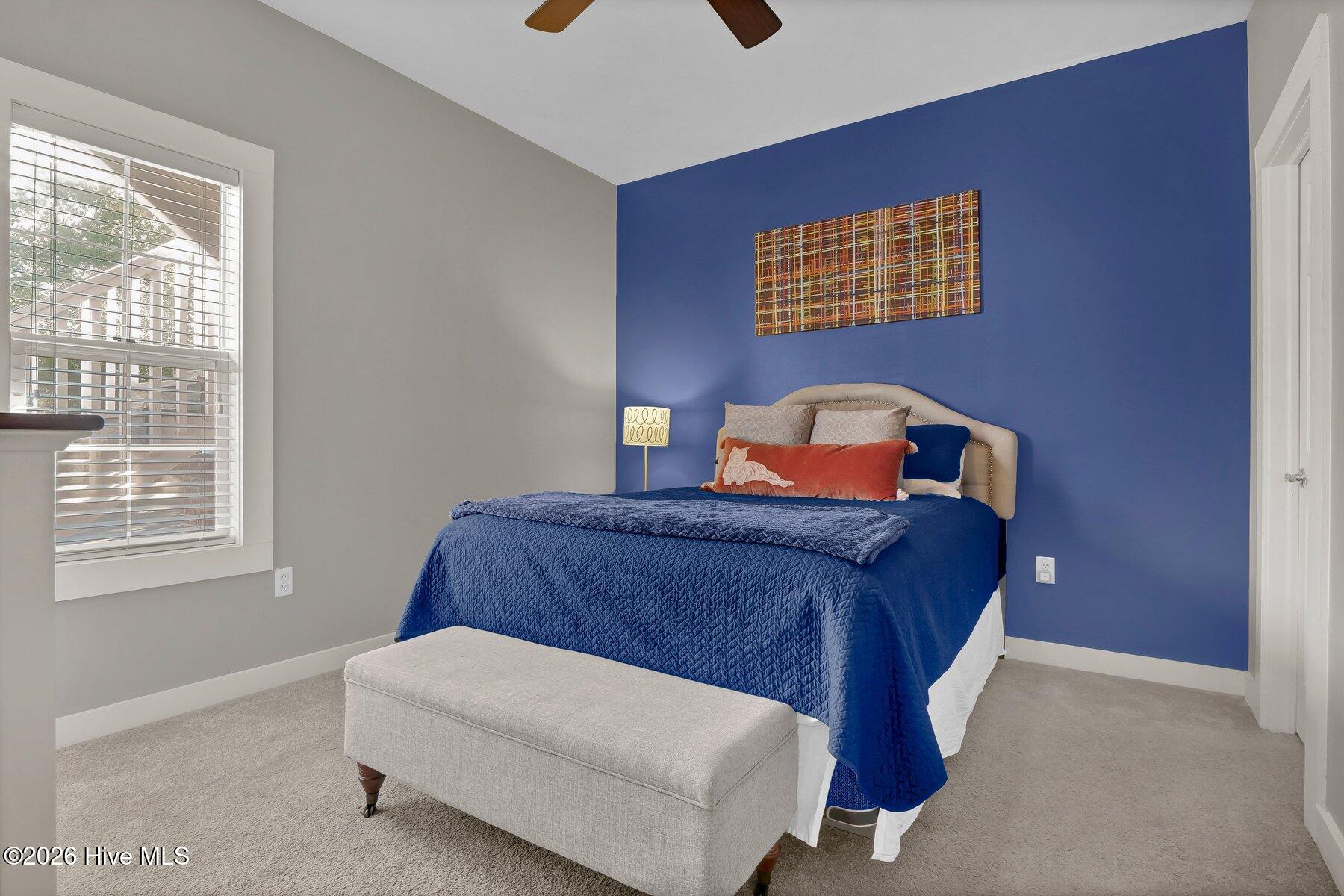 100562227 | Photo 19