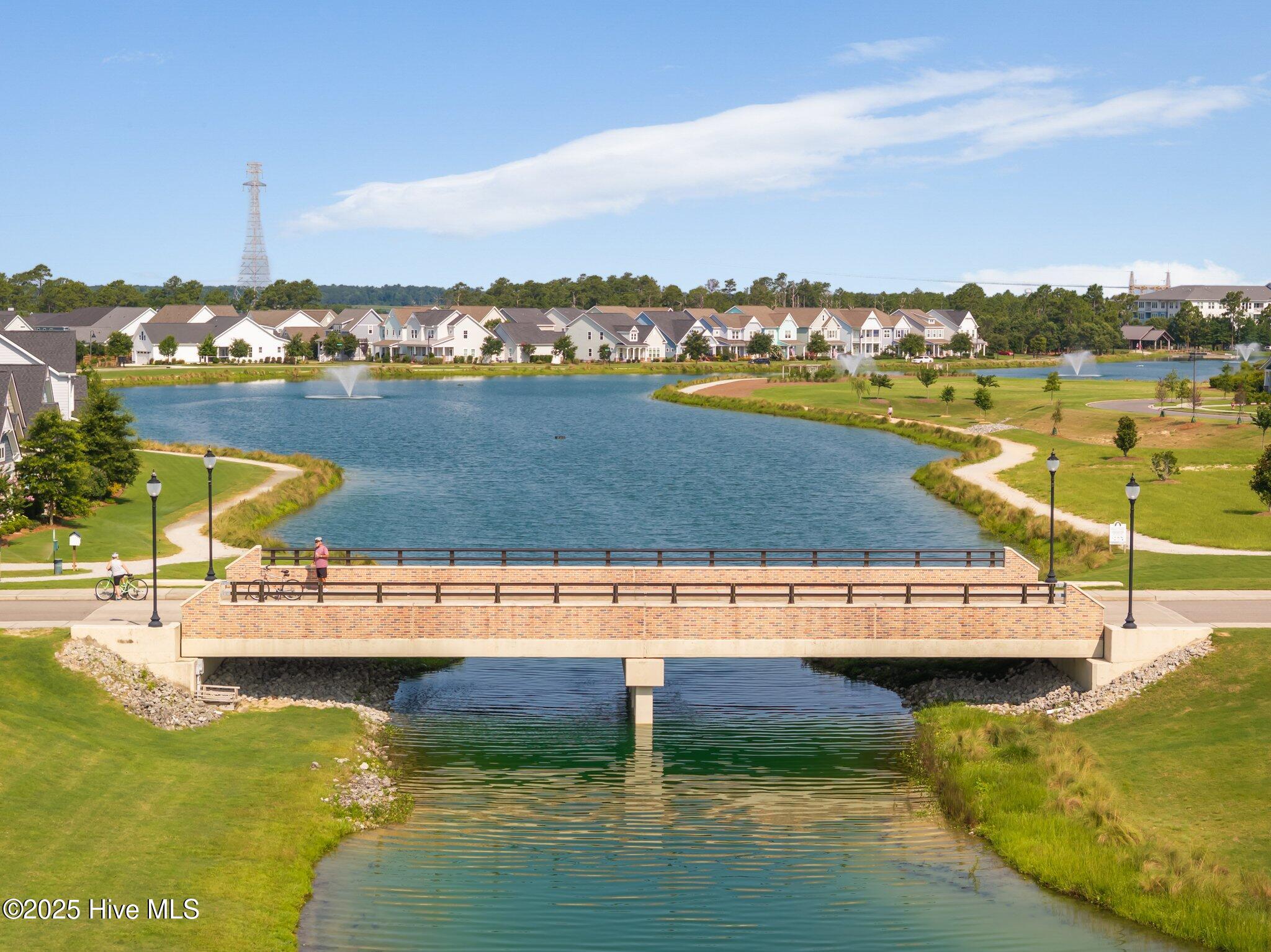 100515846 | Photo 50