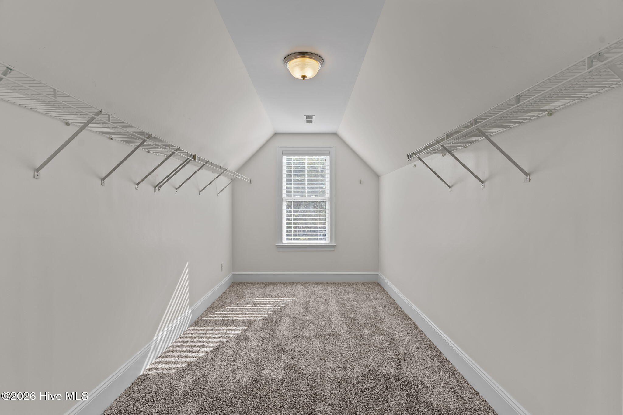 100555692 | Photo 33