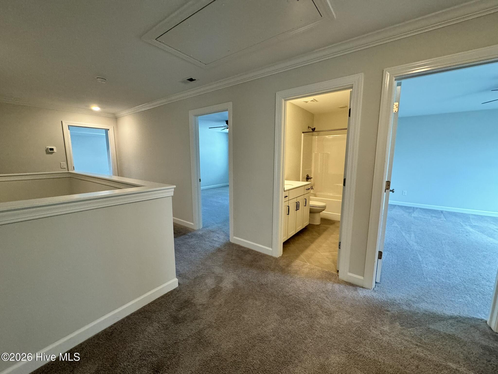 100558749 | Photo 28