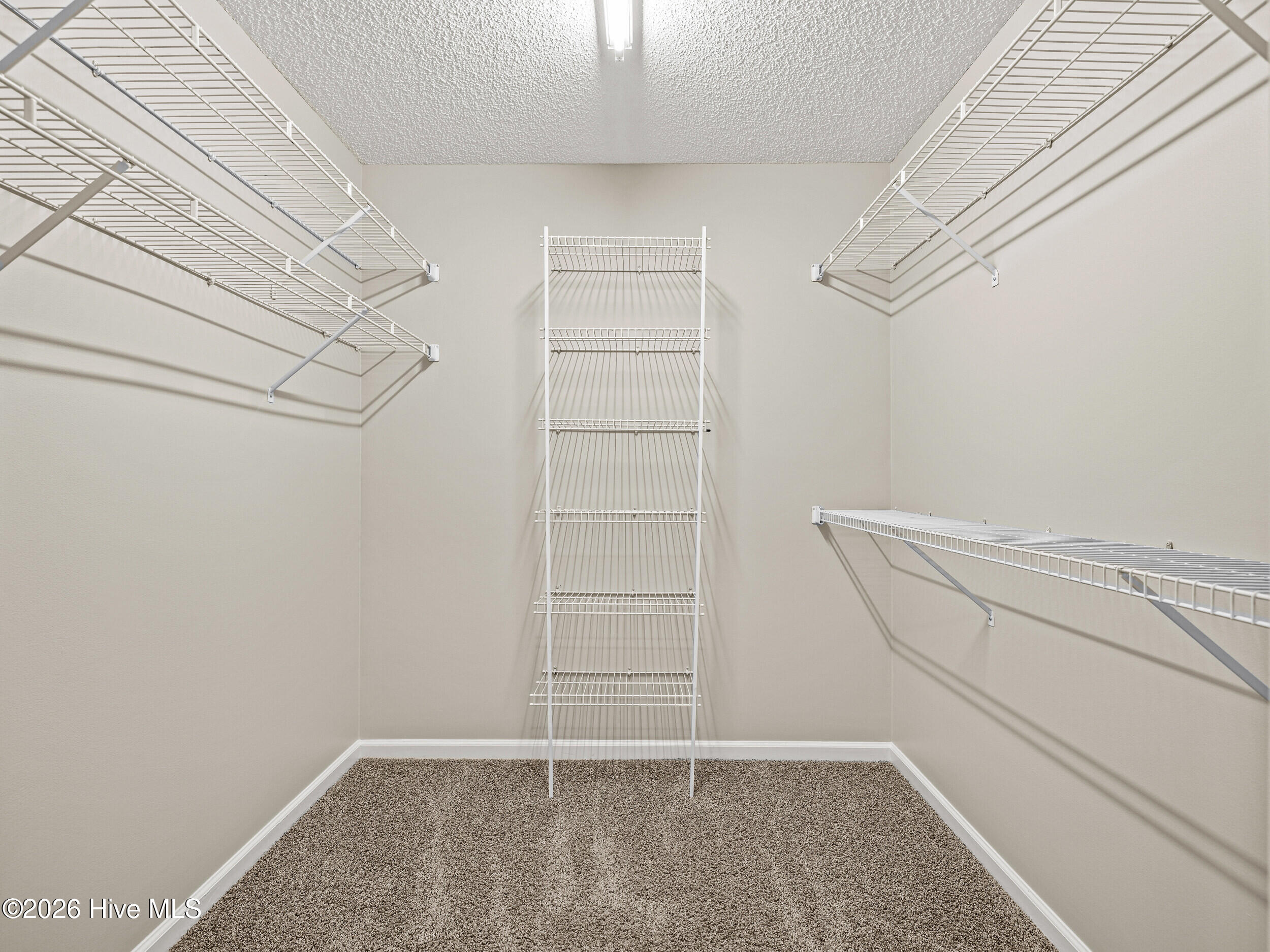 100564987 | Photo 29