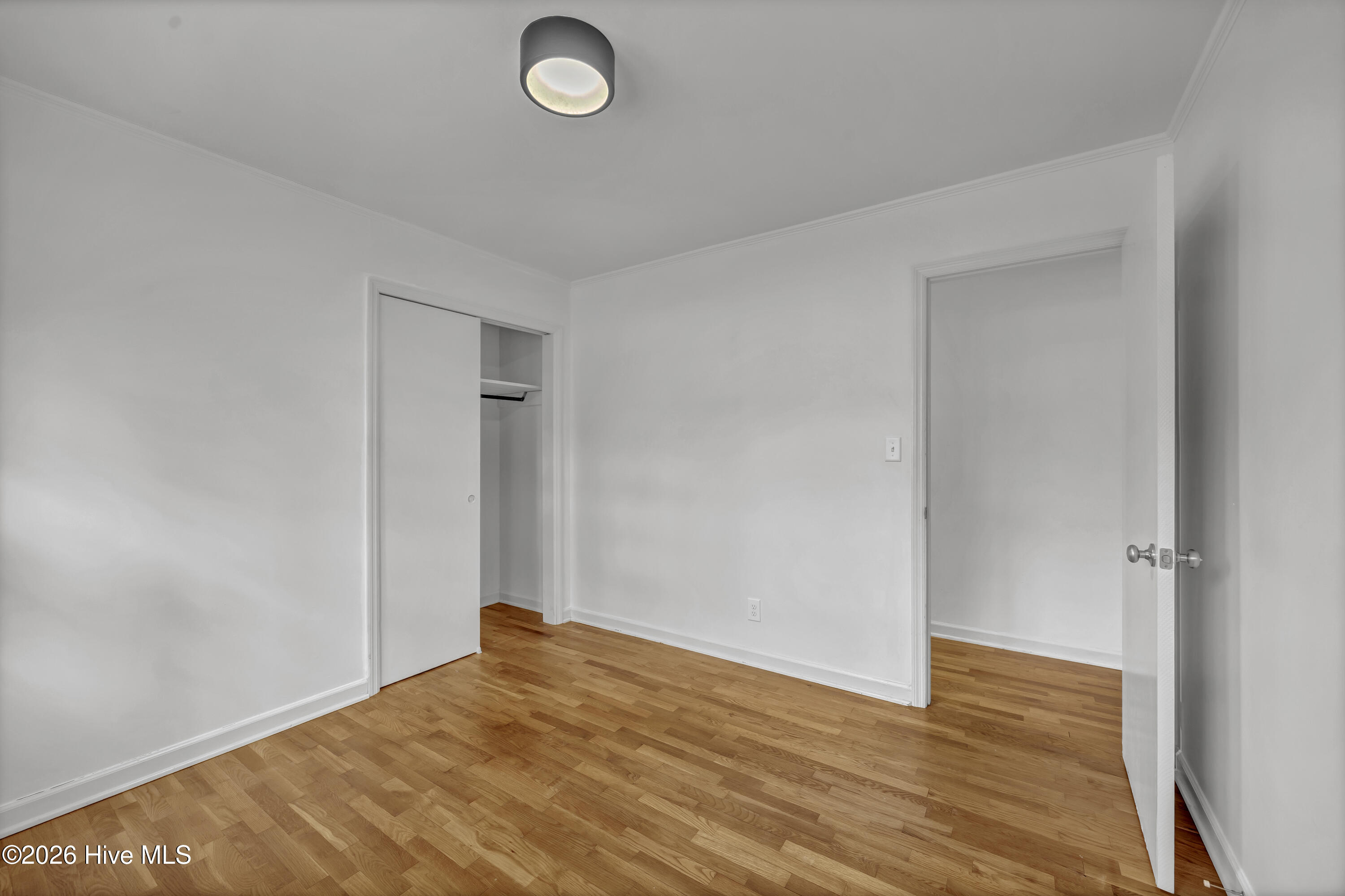 100548669 | Photo 23