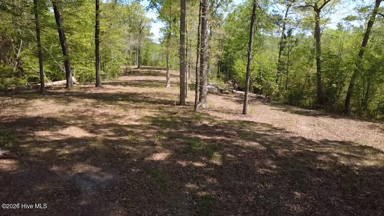 100568145 | Photo 20