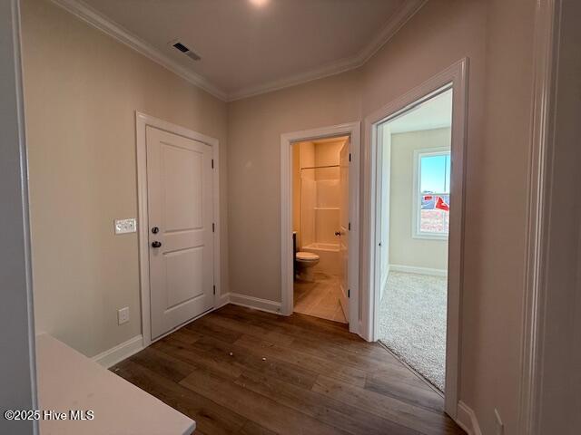 100537825 | Photo 15