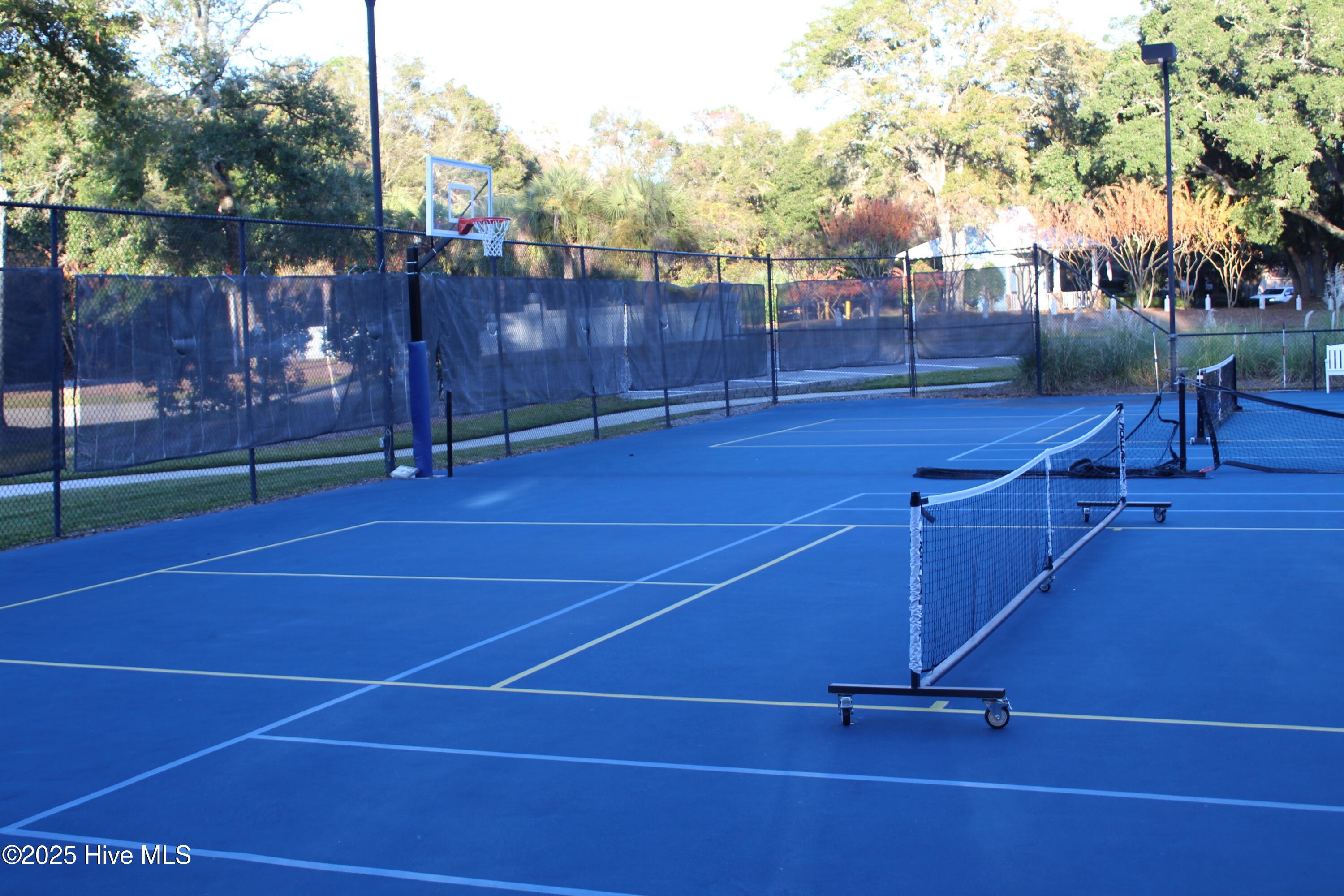 100540386 | Photo 24